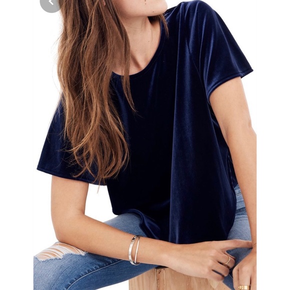Madewell Tops - Madewell blue velvet butterfly blouse
